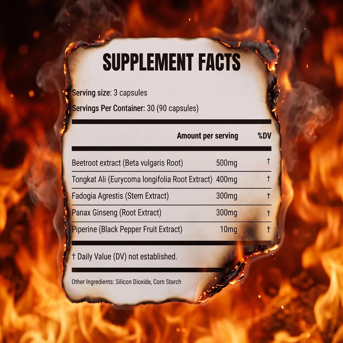 Etiqueta de información nutricional de Primal Storm